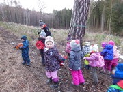 Výprava do lesa za zvířátky